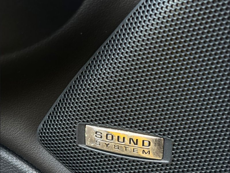 Škoda Octavia II RS 2.0 TDI — акустична система в дверях